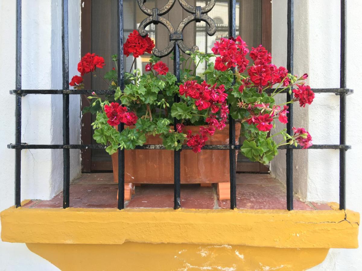 La Escondida Ronda, B&B Eksteriør billede